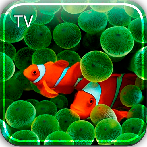 Aquarium HD TV