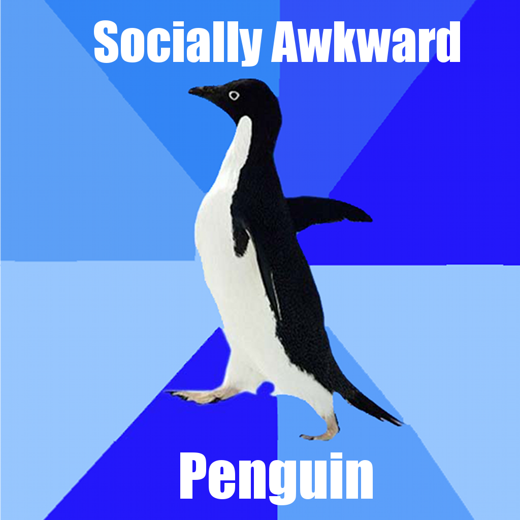 Socially awkward penguin online dating