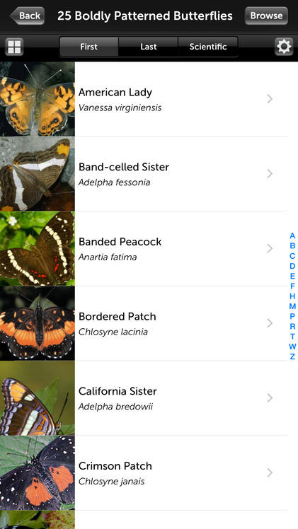 Audubon Butterflies - A Field Guide to North American Butterflies screenshot-2