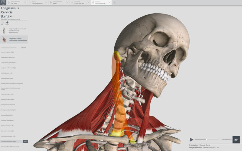 Complete Anatomy 2019 4.0.1 Mac 破解版 – 强大的3D医学人体模型-日主题 Complete Anatomy 2019 4.0.1 Mac 破解版 – 强大的3D医学人体模型