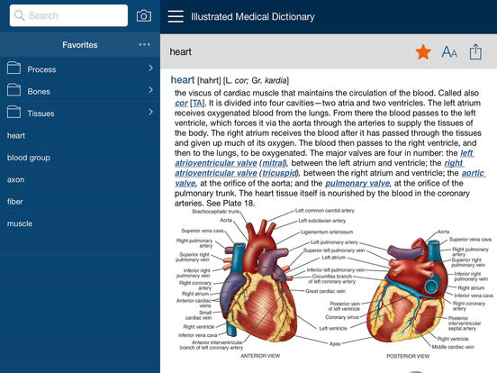 dorland medical dictionary for iphone